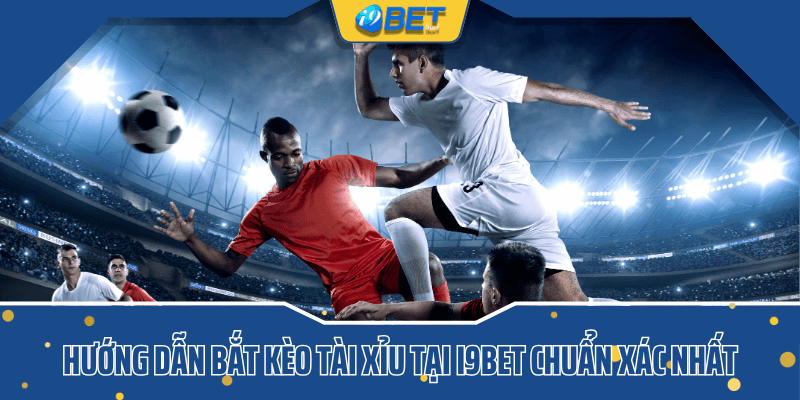 Hướng dẫn bắt kèo tài xỉu tại i9bet chuẩn xác nhất